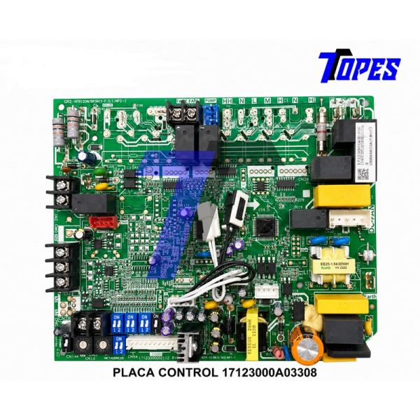 PLACA CONTROL 17123000A03308
