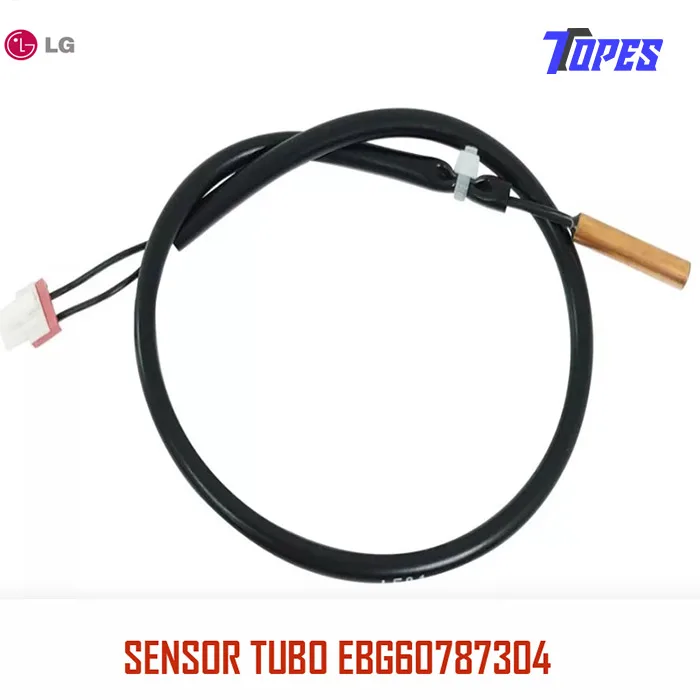 SENSOR TUBO EBG60787304